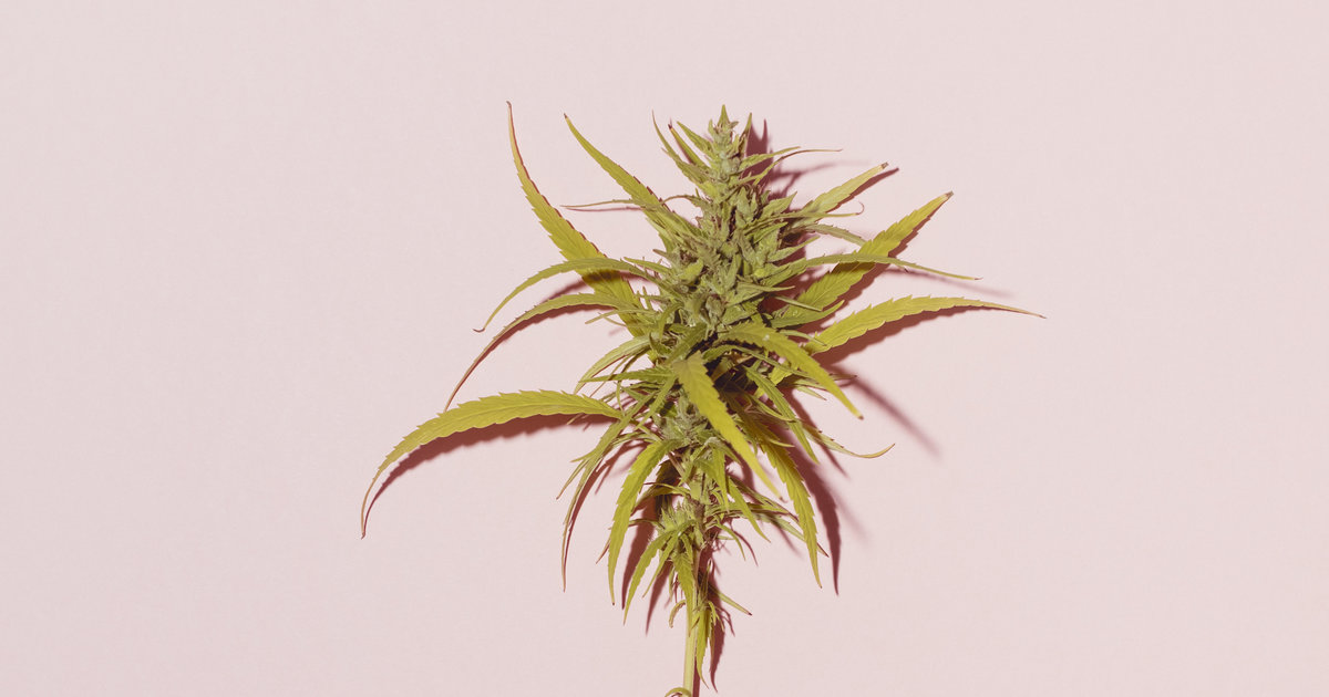 Sephora’s Best CBD And Cannabis Beauty Products