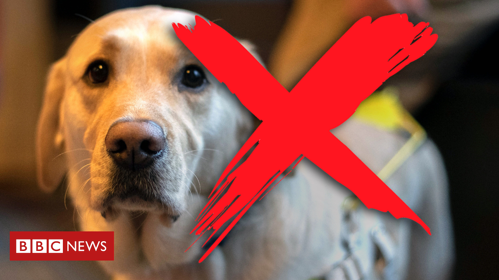 Discrimination: ‘I can’t take your guide dog, I’ve got an allergy’