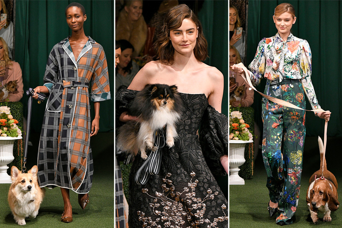 Pups pranced down a Westminster-inspired runway at NY Fashion Week
