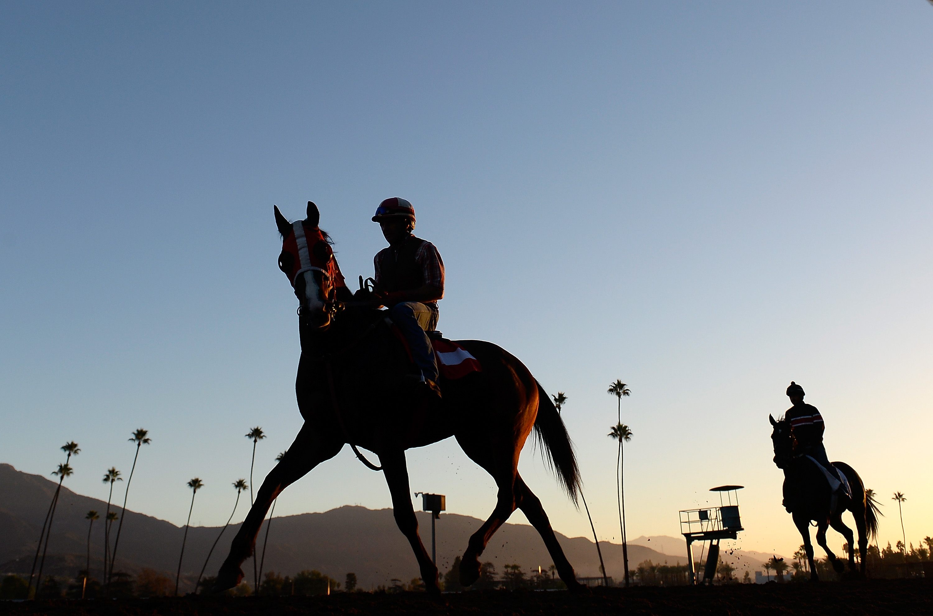 Another horse dies two days after California track resumes racing; deaths now number 22