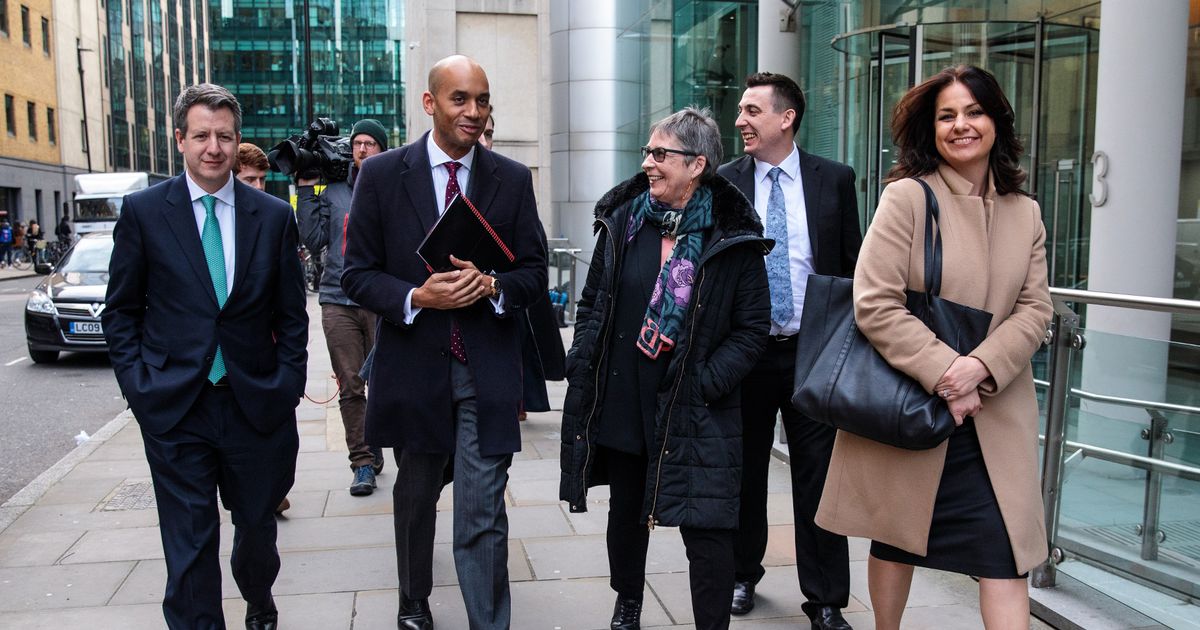 ‘Misleading’ logo The Independent Group are banned from using in Euro elections