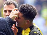 Jadon Sancho hit on the head by a lighter thrown from Schalke end