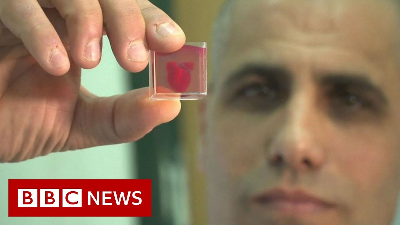 Scientists unveil '3D-printed heart' – BBC News
