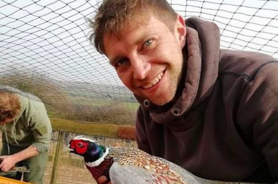 Sex dance calms down aggressive pheasant, says Cornwall man