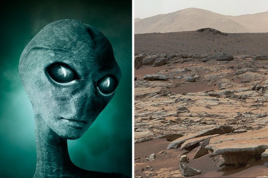 NASA ‘alien proof of life on Mars’ as astronomer spots penguin