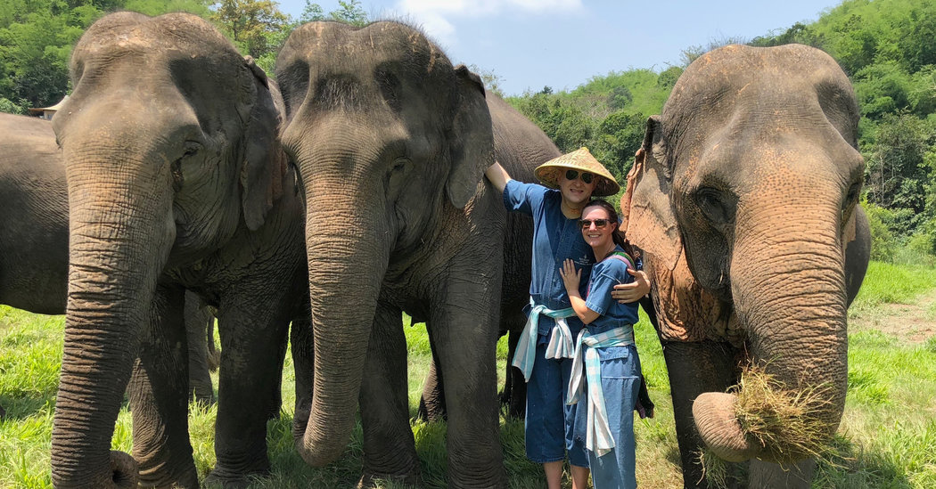 This Week’s Wedding Announcements – The New York Times