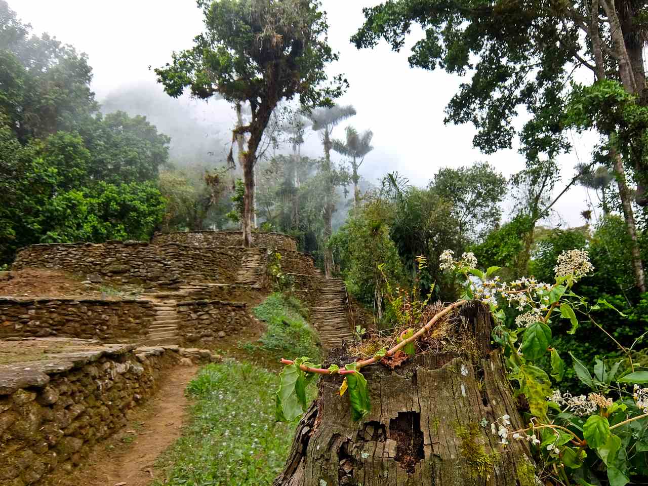 Hiking to the Lost City in Colombia
