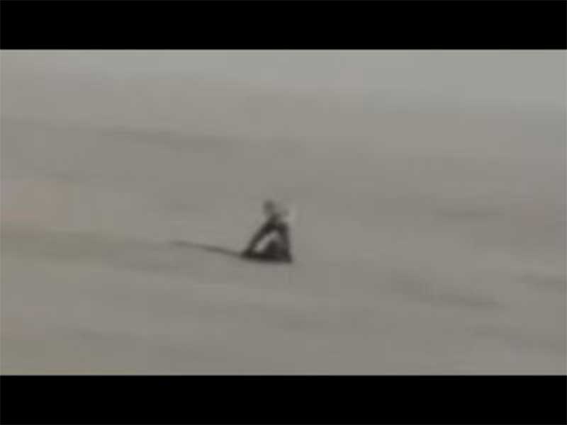 ‘ALIEN lifeform filmed in New Mexico desert’, claim conspiracists