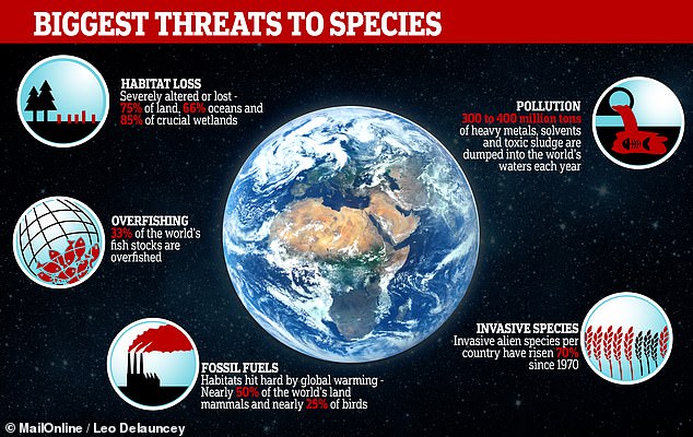 Humans risk wiping out ONE MILLION species of plants and animals, UN report warns