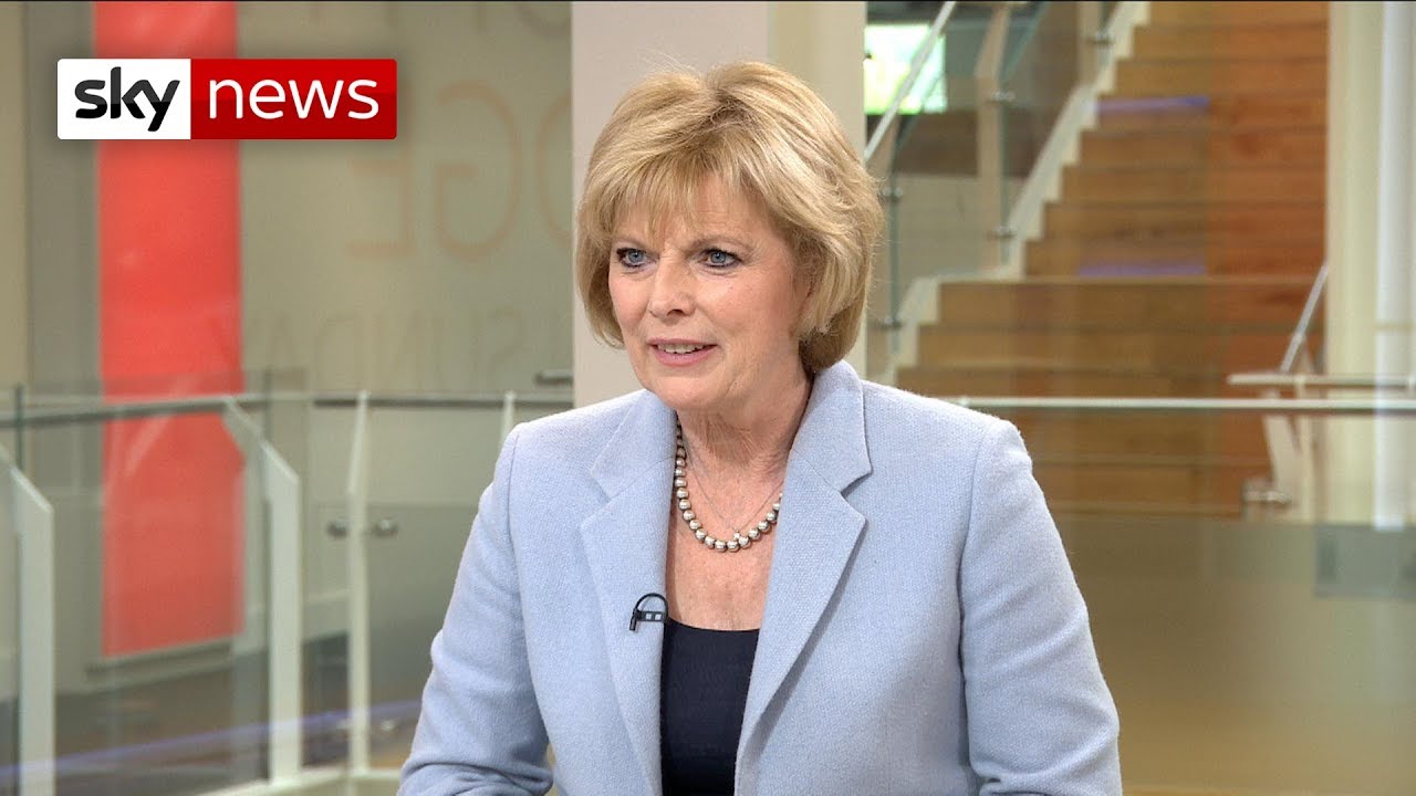 Anna Soubry: Change UK doing 'remarkably well' despite polls