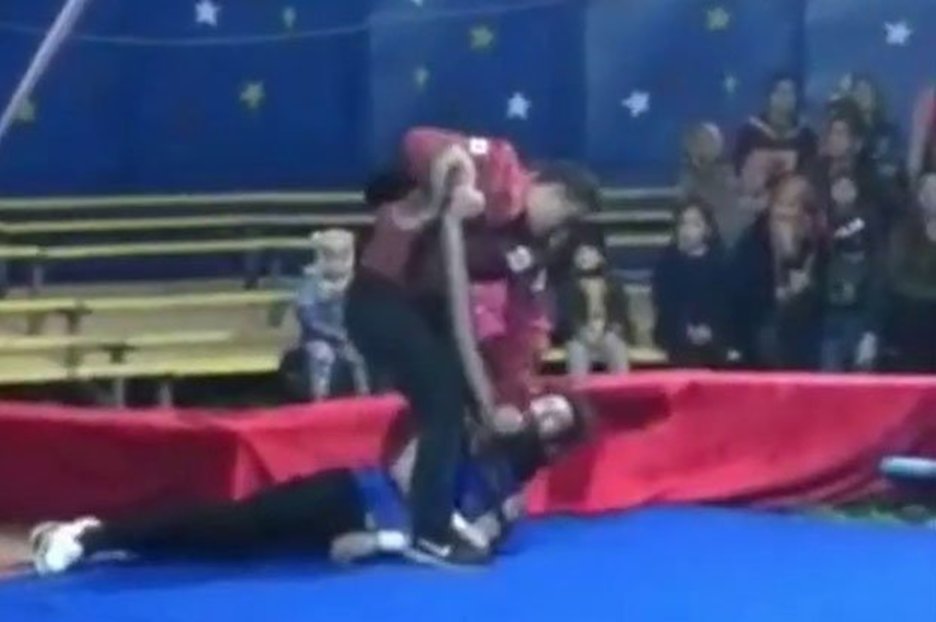 Russian circus performer ‘killed by snake’ according to reports