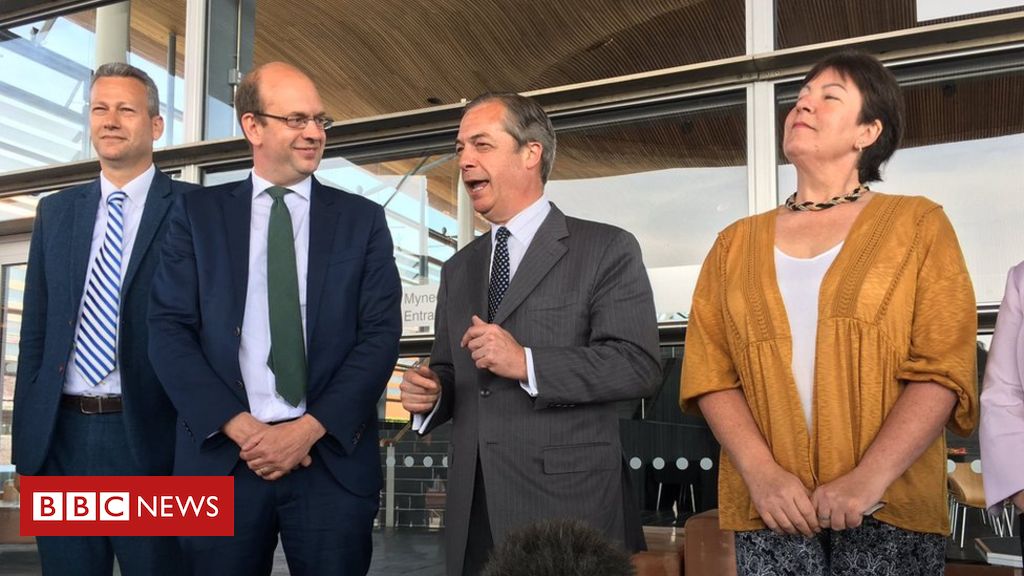 Brexit Party: Four AMs join forces with Nigel Farage to form group