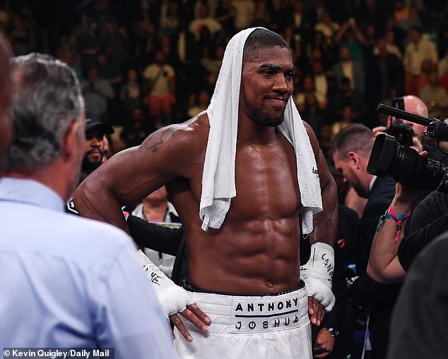 Anthony Joshua cancels plans for 10-day break in America to fly home after Andy Ruiz defeat