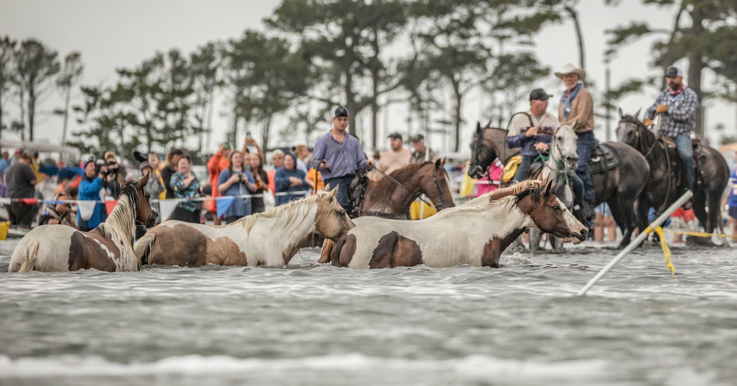 Following in the Wake of a Storybook Pony