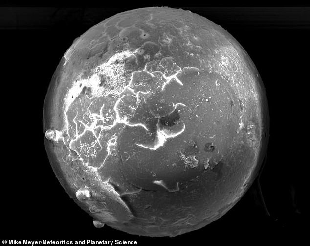 Scientists discover 3 million-year-old ‘cosmic pearls’ in fossilized Florida clams