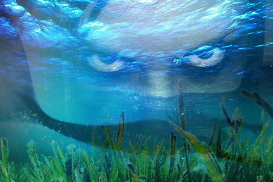 Mermaids are real according to ‘screaming sound’ conspiracy theory