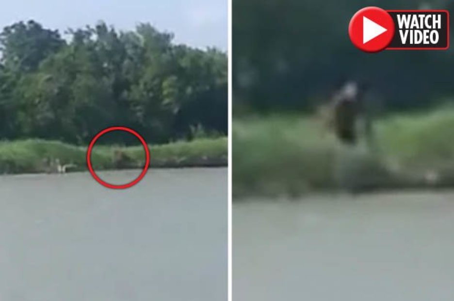 Half human half dog creature seen lurking near Texas river