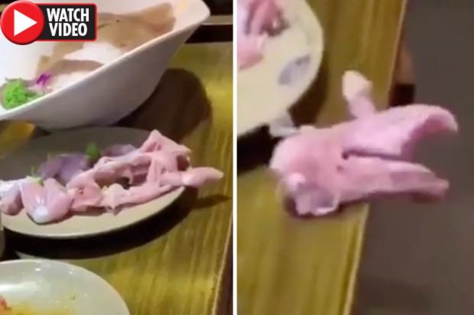 Zombie chicken ‘comes back to life’ in horror video