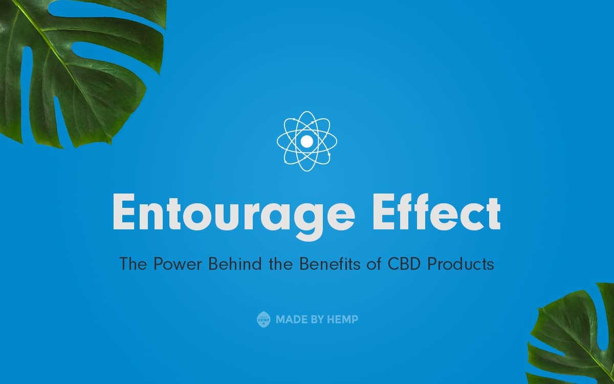  Entourage Effect: The Power Behind the Benefits of CBD Products