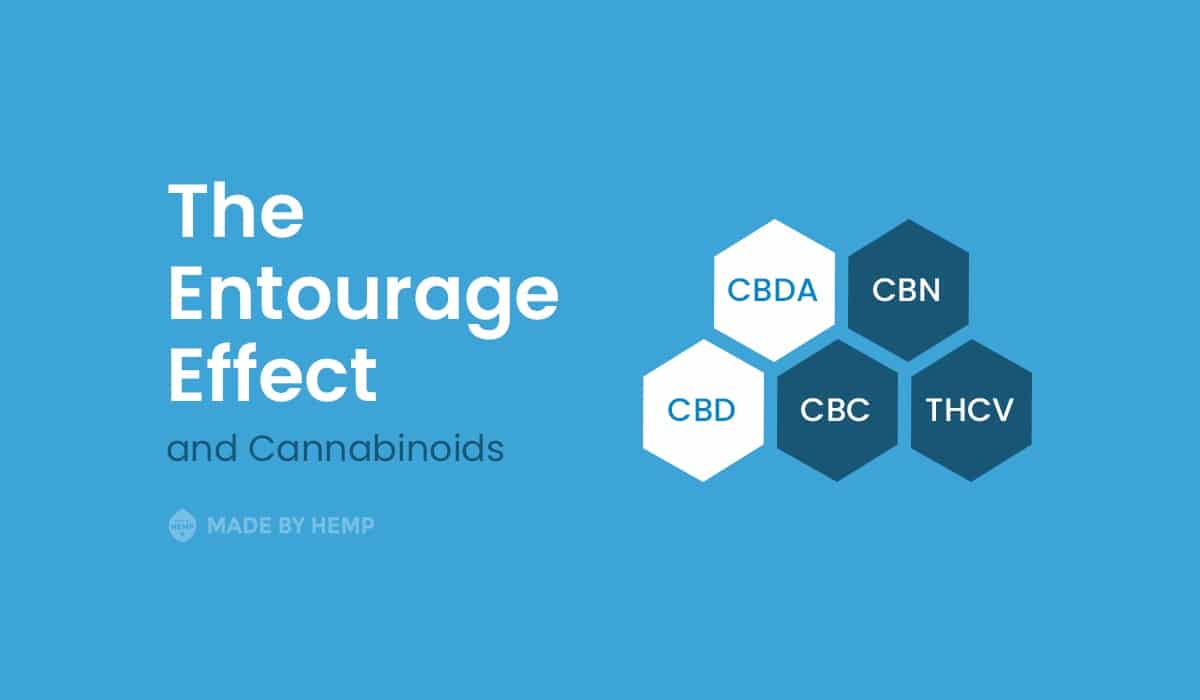  Entourage Effect: The Power Behind the Benefits of CBD Products