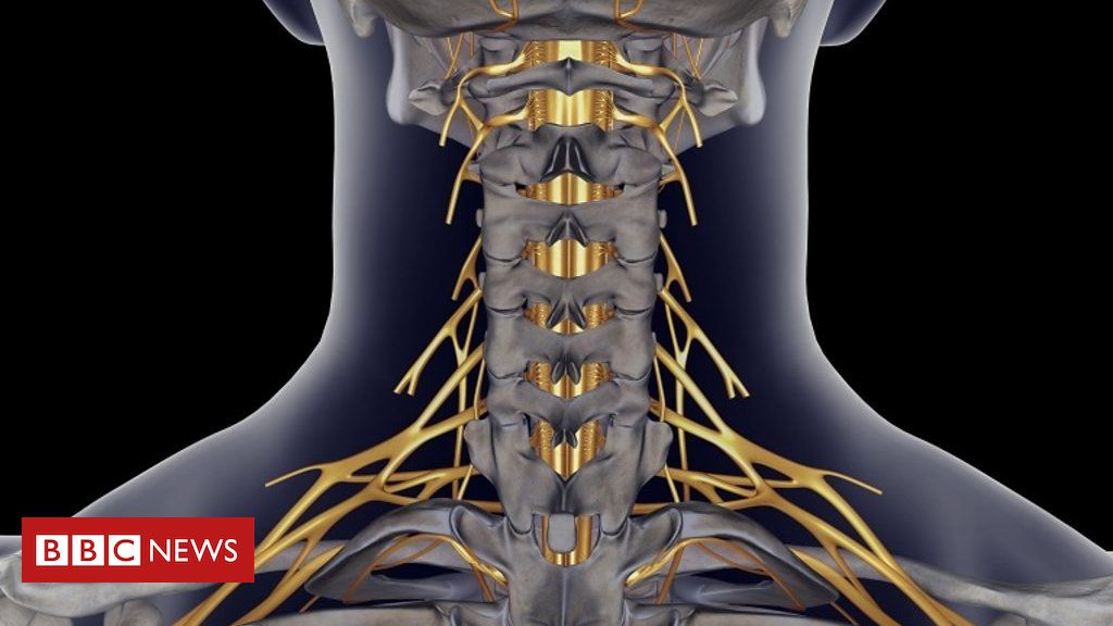 Surgeons in Australia have reversed hand and arm paralysis