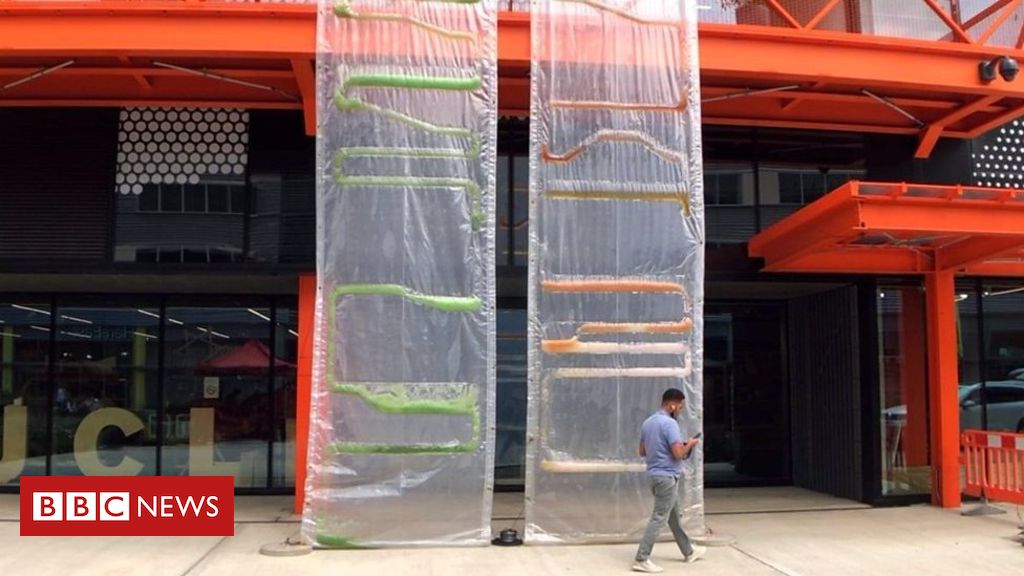 Algae bio-curtains: Architects’ radical solution to capture carbon