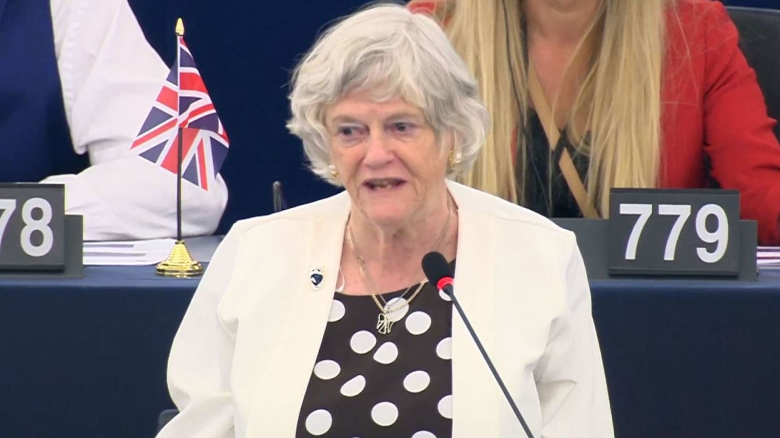 Brexit Party MEP Ann Widdecombe compares leaving EU to ‘slaves’ winning freedom | Politics News