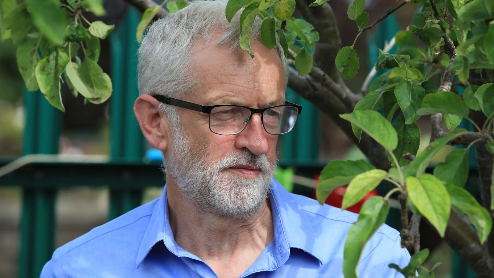 Jeremy Corbyn ally admits Brexit policy has ‘damaged’ Labour’s electoral standing | Politics News