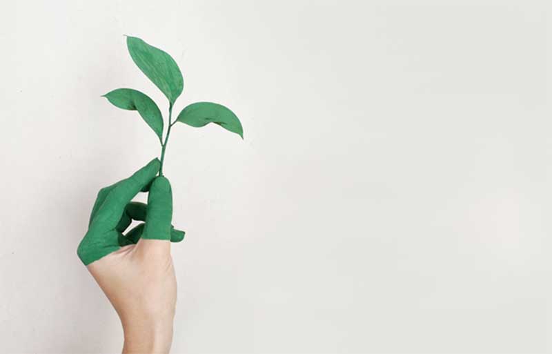 Top ten heatlh and wellness trends, eco consciousness