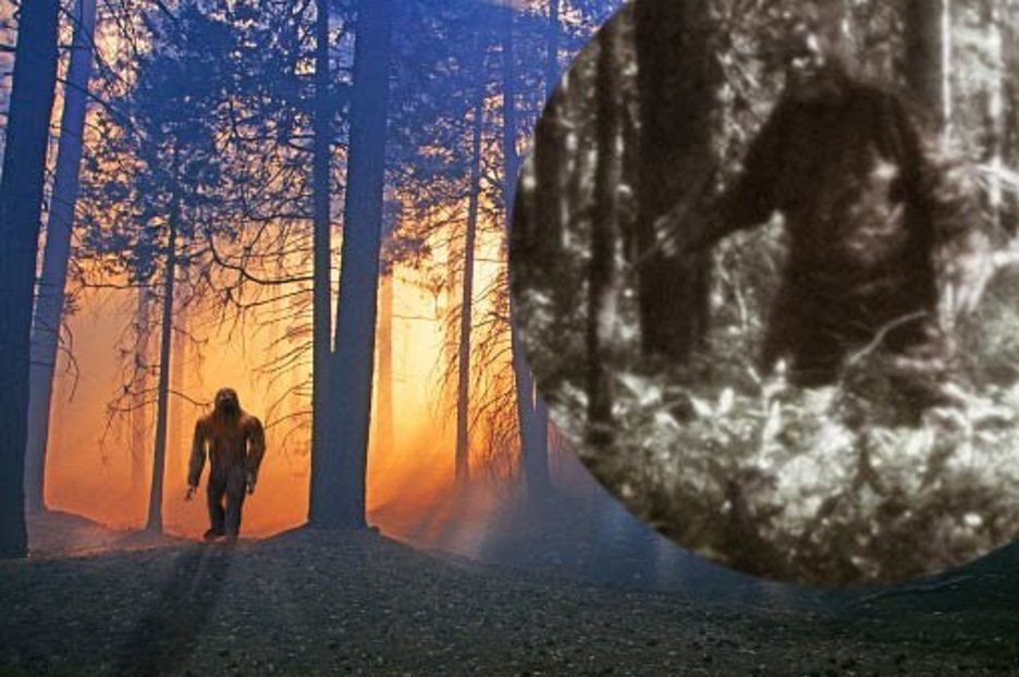 ‘Bigfoot’ spotted at campsite sparks gunfire as man takes aim at beast