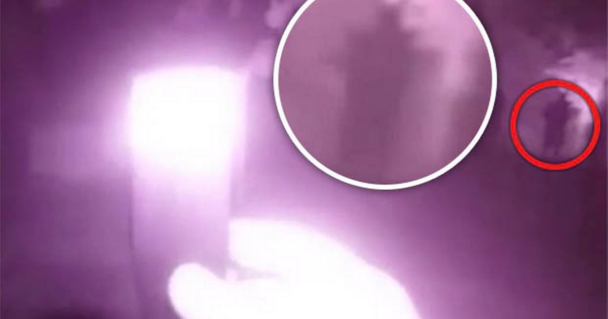 ‘Half-man, half-owl’ creature filmed in graveyard for first time in 40 years