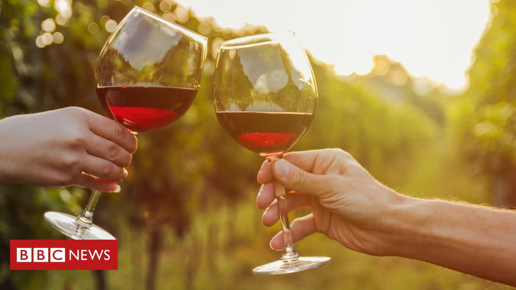 Why red wine could be good for your gut – in moderation