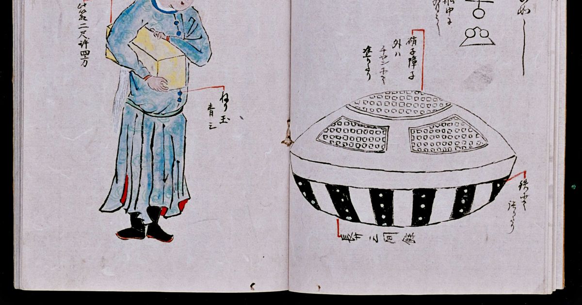 ‘Woman-shaped alien’ mystery faces new probe after UFO washes up on shore