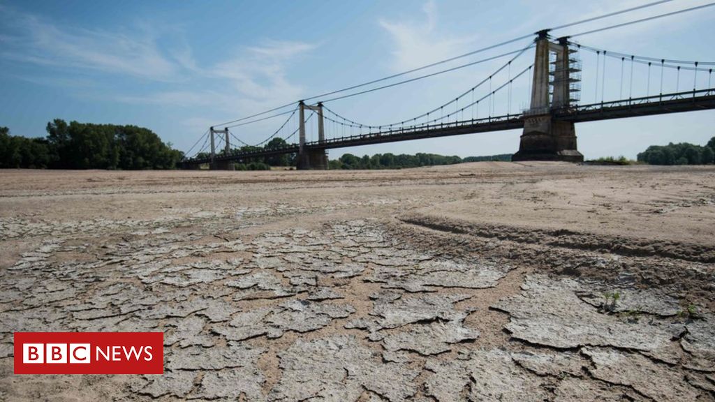Summer heat killed nearly 1,500 in France, officials say