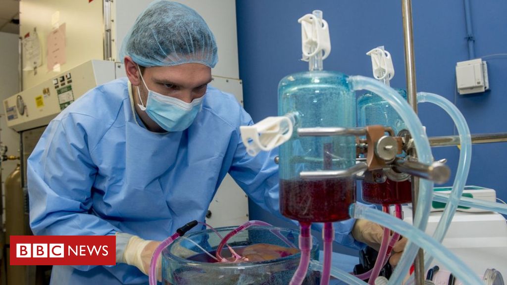 ‘Supercool’ method triples organ survival