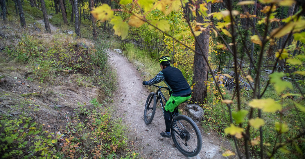 When Biking and Bears Don’t Mix