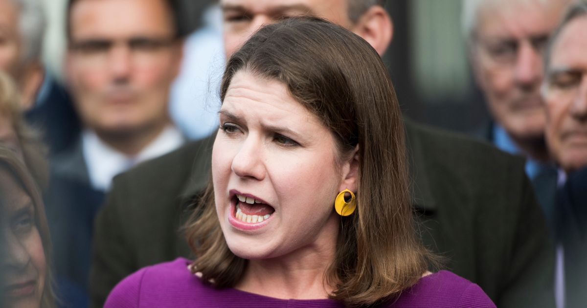 Lib Dems and SNP join forces to grant Boris Johnson’s wish for December election