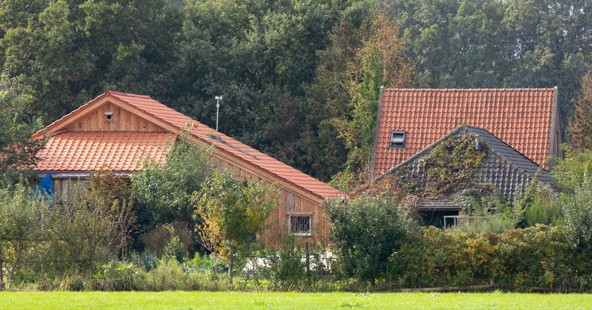 Bizarre doomsday cult uncovered after man escapes and drinks five pints in pub