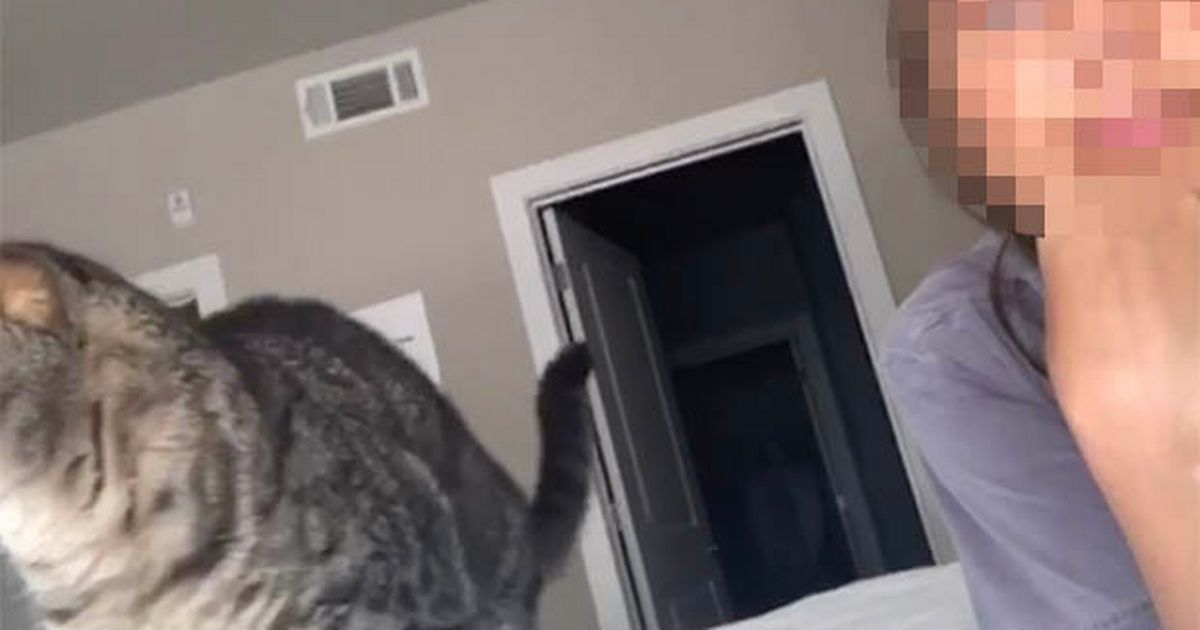 Boyfriend’s terror after seeing ‘figure in white’ lurking behind partner in selfie