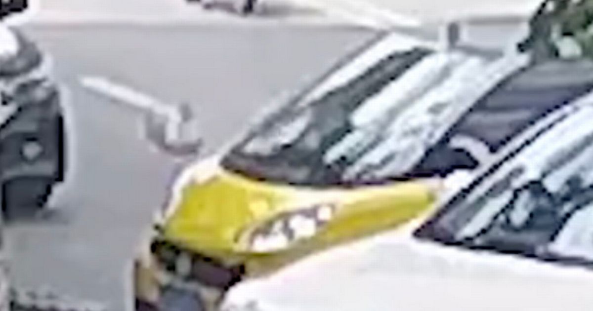 Mystery as ‘flying fish’ falls from sky and smashes into car in baffling CCTV