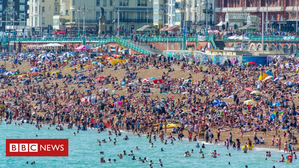Summer heatwave ‘death spike’ seen in UK