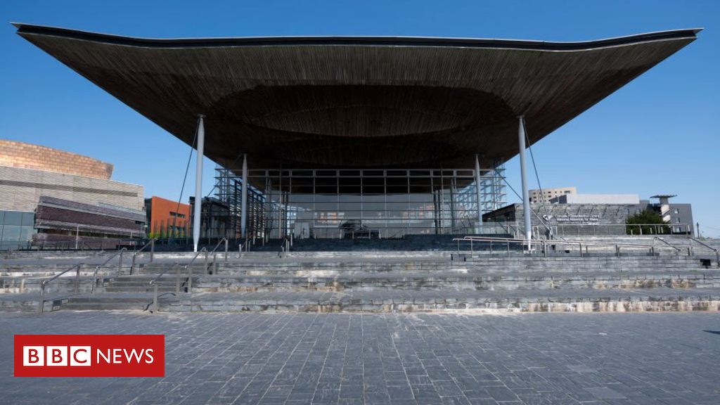 AMs back Senedd Cymru/Welsh Parliament for new assembly name