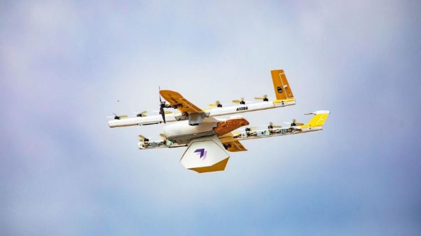 Drones begin delivering online shopping in the US | Science & Tech News