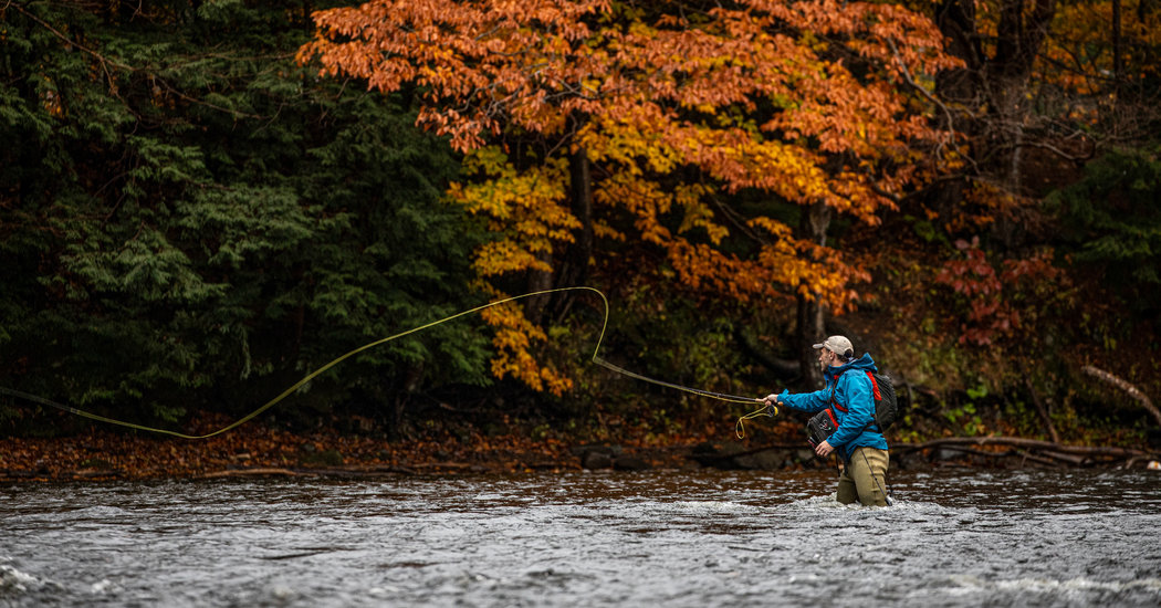 Daughter and Dad, Chasing Salmon in Upstate New York