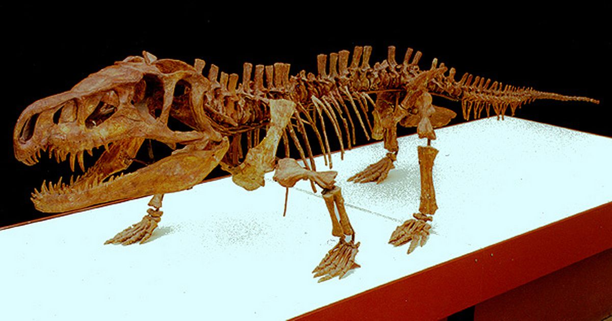 Strange 250-million-year old ‘dragon with giant head’ dug up in Russia