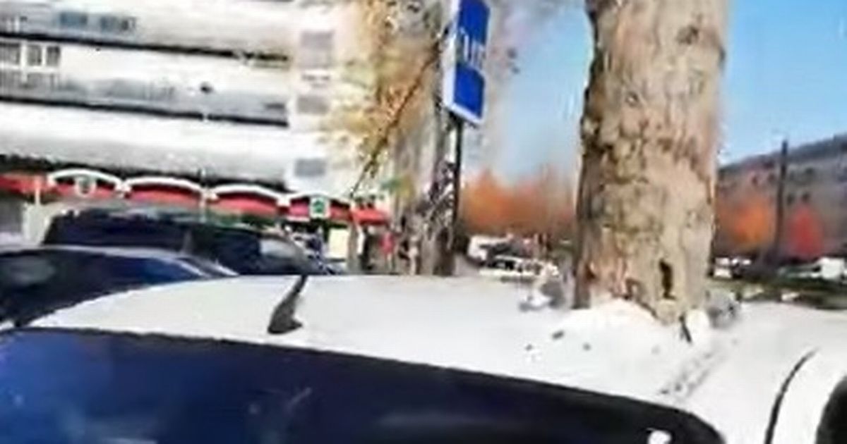 Mystery as giant tree ‘teleports’ through roof of parked car baffling locals