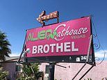 Nevada brothel Alien Cathouse is offering AI sex robots for global clients