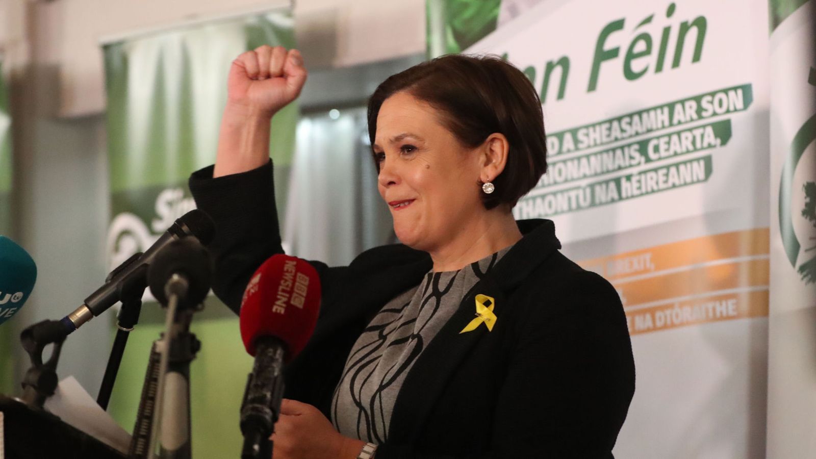 Northern Ireland pro-Remain parties agree pact for ‘extraordinary election’ | Politics News