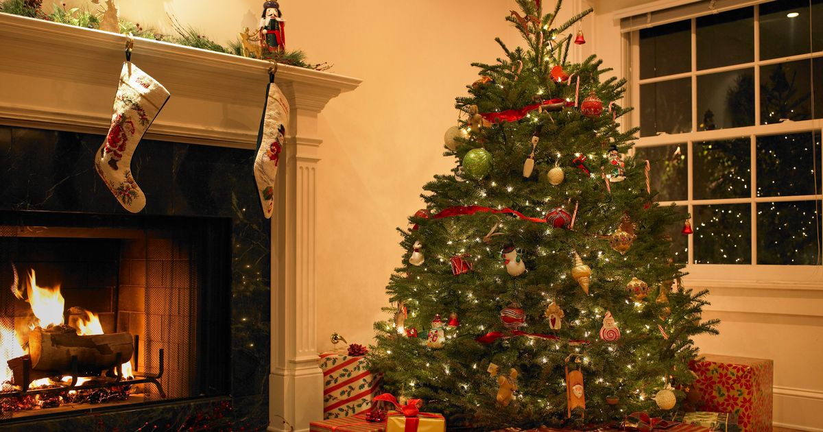 Christmas tree covered in brown pine cone-like clumps hiding horrifying secret