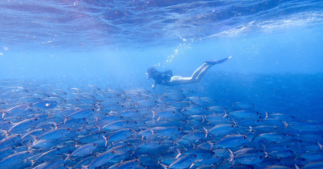 22 of Our Favorite Travel Photographs From 2019